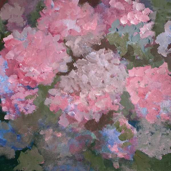 Hydrangea #4