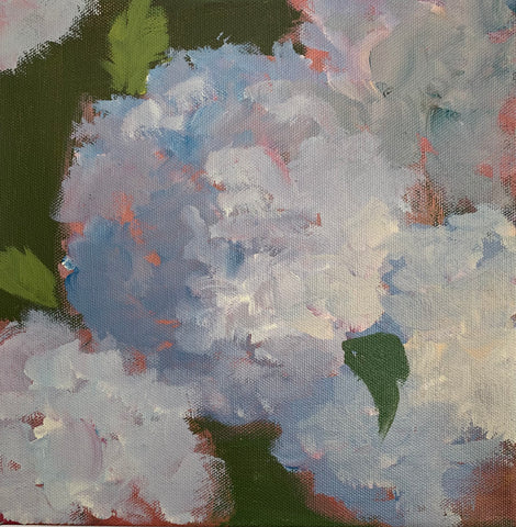 Hydrangea #6