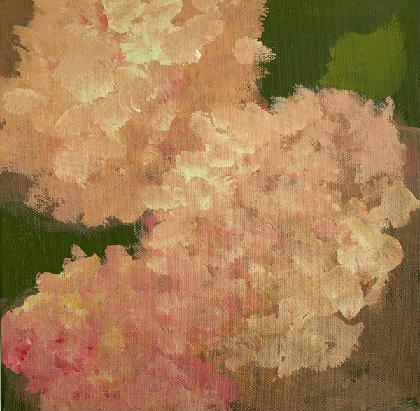 Hydrangea #8